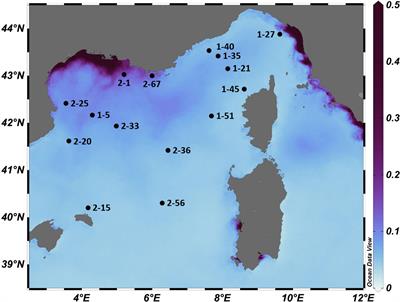 Siliceous Rhizaria abundances and diversity in the Mediterranean Sea assessed by combined imaging and metabarcoding approaches